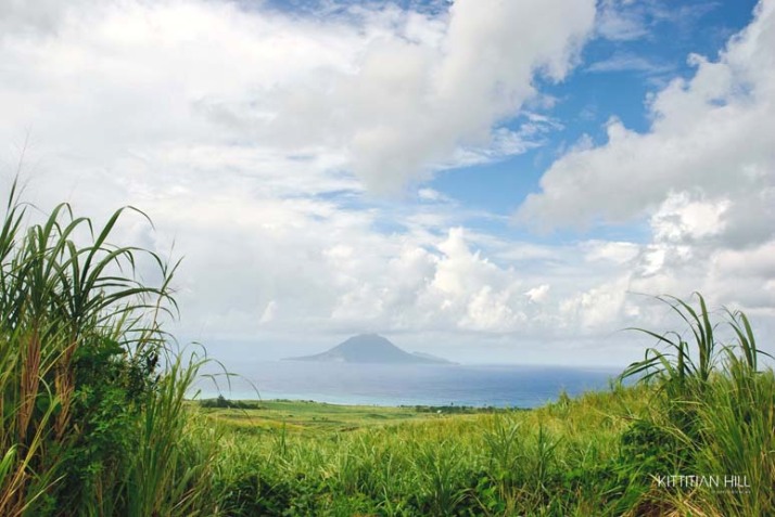 st kitts citizenship by investment